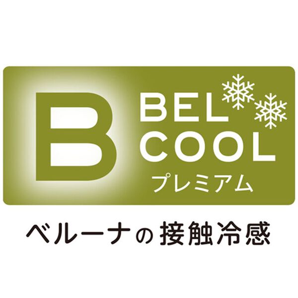 「ベルクールプレミアム強力除湿＆防ダニ快適敷パッド（敷パッド）」｜詳細画像