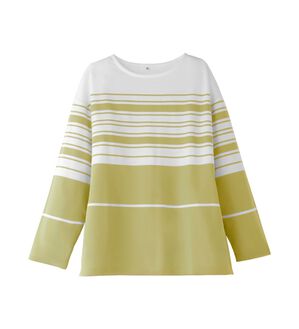 BELLUNA（ベルーナ）の「ポンチ素材パネルボーダープルオーバー（カットソー）」｜イエロー