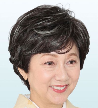 「華麗なメッシュのフルウィッグ（ウィッグ・ヘアピース・エクステ）」