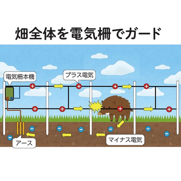 「熊・猪から畑を守る電気柵セット（ガーデニング・園芸用品）」｜詳細画像