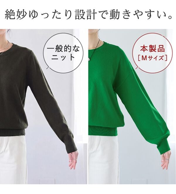 Viola e Viola（ヴィオラ エ ヴィオラ）の「【洗えるニット】着回し力抜群！秋から着られるシンプルニットトップス（ニット・セーター）」｜詳細画像