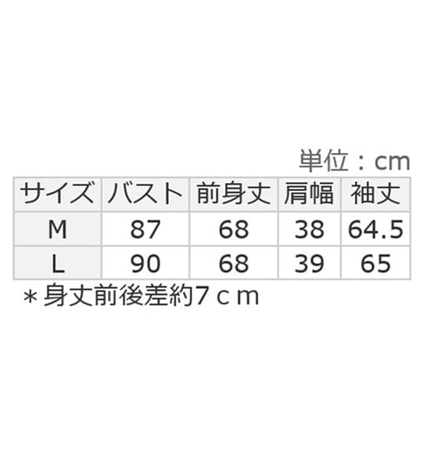 Viola e Viola（ヴィオラ エ ヴィオラ）の「スラブシアーテレコ袖レーストップス（カットソー）」｜詳細画像