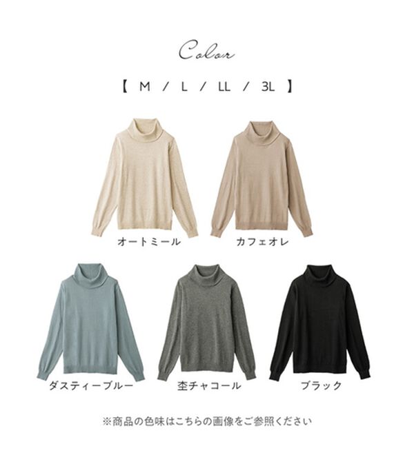 Viola e Viola（ヴィオラ エ ヴィオラ）の「綿１００％リブハイネックセーター（ニット・セーター）」｜詳細画像