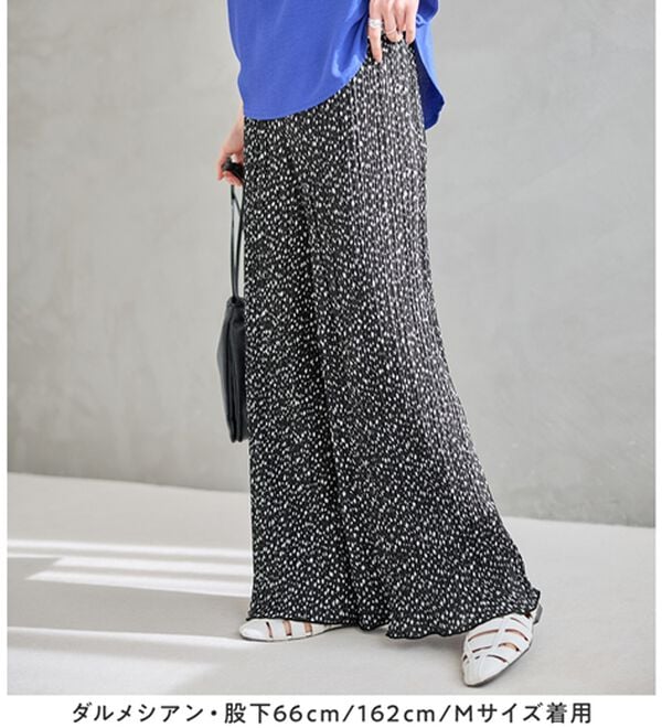 Viola e Viola（ヴィオラ エ ヴィオラ）の「着心地楽ちん！さらっと軽やかプリーツパンツ（フルレングスパンツ）」｜詳細画像