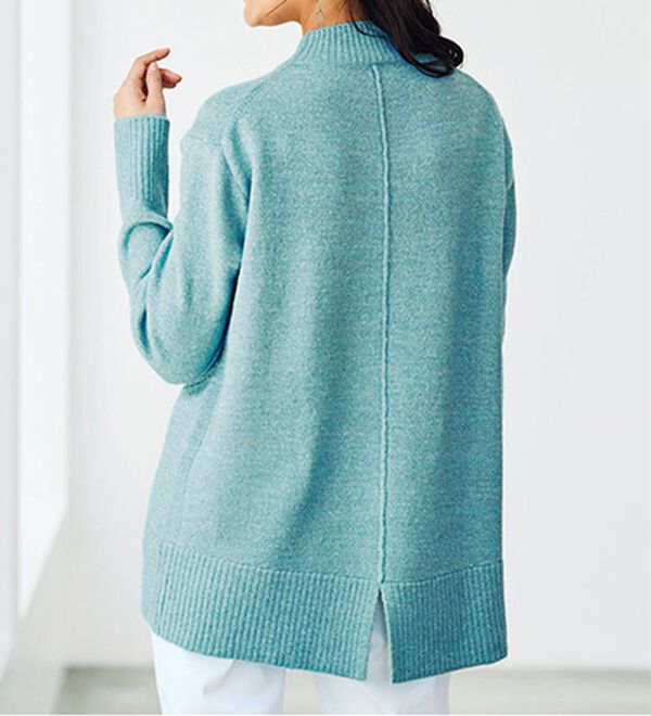 BELLUNA（ベルーナ）の「ラメニット素材ベーシックプルオーバー（ニット・セーター）」｜詳細画像