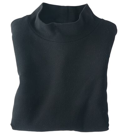 BELLUNA（ベルーナ）の「吸湿発熱ハイネックプルオーバー（カットソー）」