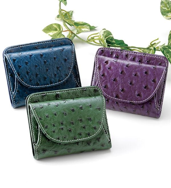 「オーストリッチ風型押しコンパクト財布（財布・パスケース）」｜詳細画像