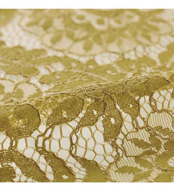 BELLUNA（ベルーナ）の「ビンテージレース素材シャツチュニック（チュニック）」｜詳細画像