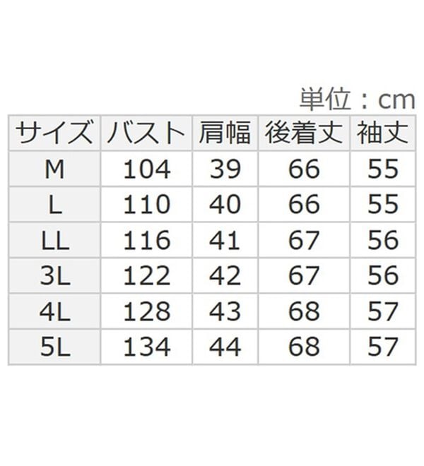 BELLUNA（ベルーナ）の「ワイドボトムに合わせる綿１００％刺しゅうブラウス（ブラウス）」｜詳細画像