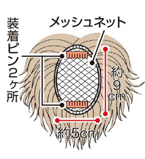 「人毛１００％お買得　つむじピース（ウィッグ・ヘアピース・エクステ）」｜詳細画像