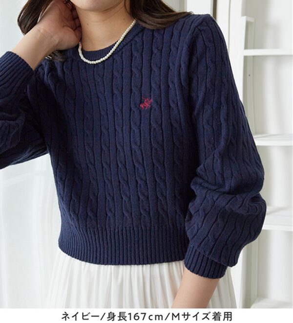 Viola e Viola（ヴィオラ エ ヴィオラ）の「【ビバリーヒルズポロクラブ】ケーブル柄ショートニット（ニット・セーター）」｜詳細画像