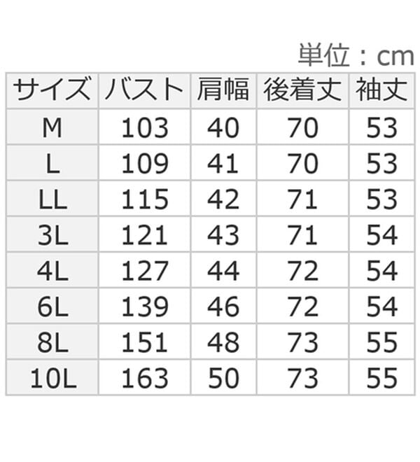 ルフラン（ルフラン）の「【２色組】ボタン使いのストライプブラウス（ブラウス）」｜詳細画像
