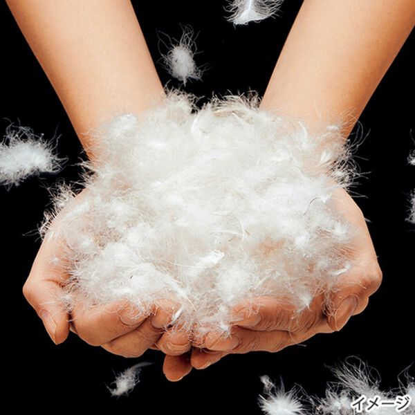 「お買得ボリューム羽毛掛布団（掛布団）」｜詳細画像