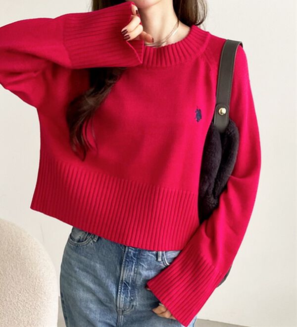 GeeRA（ジーラ）の「【ＵＳ．ＰＯＬＯ　ＡＳＳＮ】ショート丈ニット（ニット・セーター）」｜詳細画像