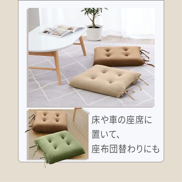 iellio（イエリオ）の「とろけるマイクロシートクッション２枚組＜抗菌防臭機能付＞（クッション・クッションカバー）」｜詳細画像