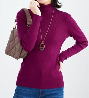 BELLUNA（ベルーナ）の「リブニットタートルプルオーバー（ニット・セーター）」｜詳細画像