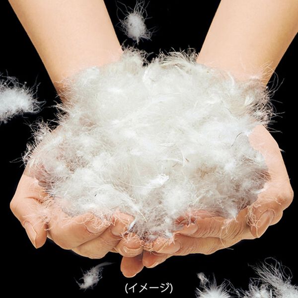 「洗えるポーランド産羽毛使用ダウンケット（掛布団）」｜詳細画像