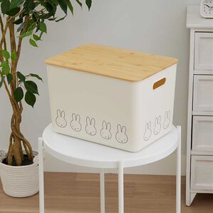 iellio（イエリオ）の「ミッフィー収納ケース（小物・小型収納）」｜LL