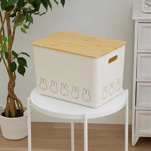 iellio（イエリオ）の「ミッフィー収納ケース（小物・小型収納）」｜LL