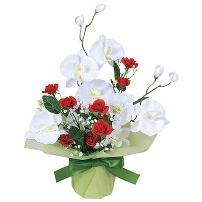 「水やり不要の胡蝶蘭アレンジメント（インテリア雑貨）」