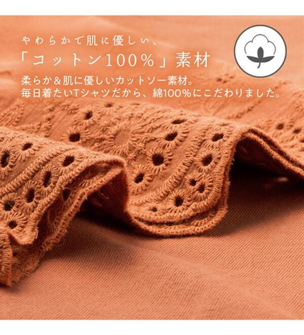 Viola e Viola（ヴィオラ エ ヴィオラ）の「綿１００％ 袖レース切替Ｔシャツ（Tシャツ）」｜詳細画像