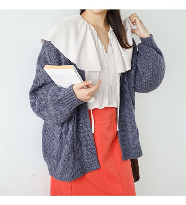 GeeRA（ジーラ）の「レース刺しゅう衿ブラウス（ブラウス）」｜詳細画像