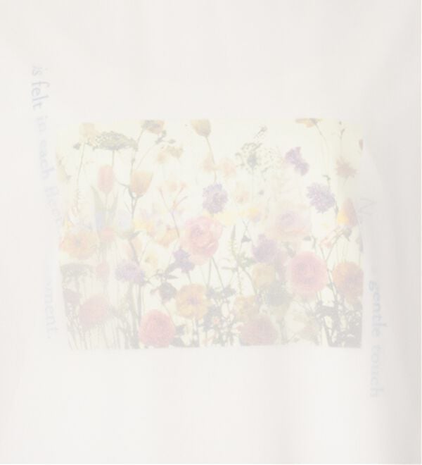 BELLUNA（ベルーナ）の「〈日比谷花壇〉シフォン重ねプルオーバー（カットソー）」｜詳細画像