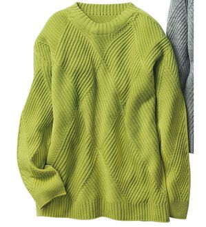 BELLUNA（ベルーナ）の「日本製＜ホールガーメント＞編地切替プルオーバー（チュニック）」｜アップルグリーン