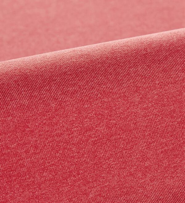 BELLUNA（ベルーナ）の「【３枚組】＜ＦＩＬＡ＞スポーティＴシャツ（Tシャツ）」｜詳細画像