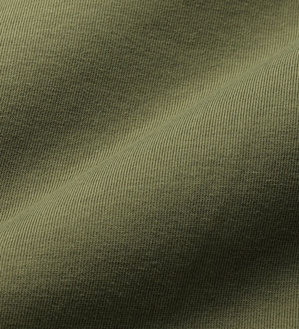 「＜ゴールデンベア＞長く着られる上質Ｔシャツ（メンズＴシャツ）」｜詳細画像