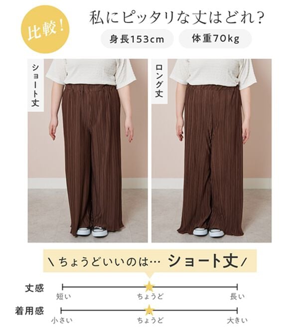 Viola e Viola（ヴィオラ エ ヴィオラ）の「着心地楽ちん！さらっと軽やかプリーツパンツ（フルレングスパンツ）」｜詳細画像