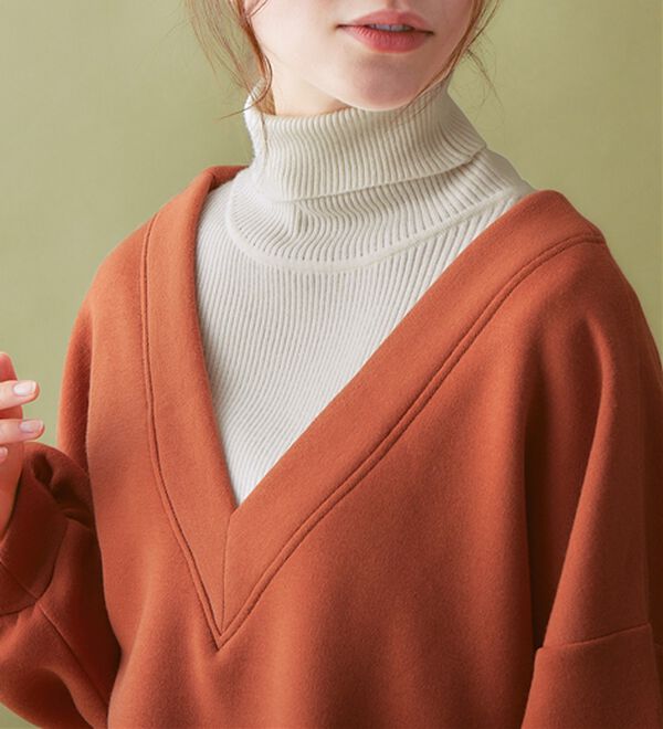 Viola e Viola（ヴィオラ エ ヴィオラ）の「あったか裏起毛Ｖネックチュニック（チュニック）」｜詳細画像