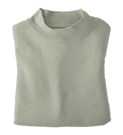 BELLUNA（ベルーナ）の「【選べる衿】肌に優しい綿１００％暖か発熱素材プルオーバー＜ベルホット　コットン＞（カットソー）」