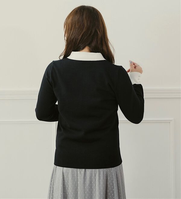 BELLUNA（ベルーナ）の「配色衿ニットプルオーバー（ニット・セーター）」｜詳細画像