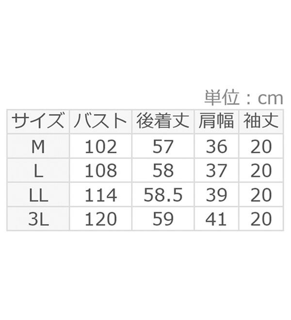 alotta（アロッタ）の「シフォンレイヤードＶネックブラウス（ブラウス）」｜詳細画像