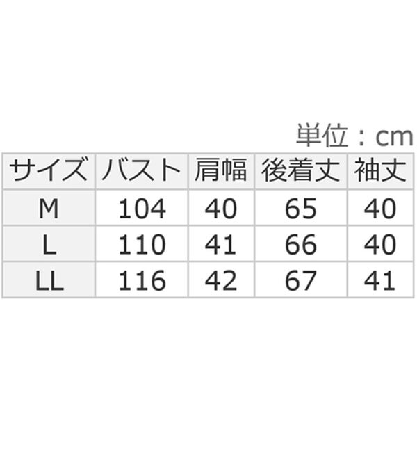 ルフラン（ルフラン）の「【３色組】ドビーストライプブラウス＜ルオナル＞（ブラウス）」｜詳細画像