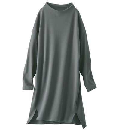 BELLUNA（ベルーナ）の「《ＨｕｇＲｅａｍコットン》ボトルネックチュニック（チュニック）」