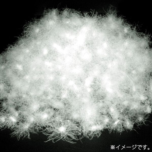 「あったか軽量！ふわっとダウンパンツ（メンズフルレングスパンツ）」｜詳細画像