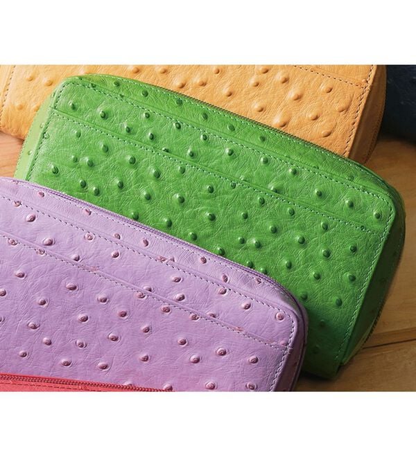 新品 お買得 オーストリッチ 本革 ハンドバッグ 取りまわし