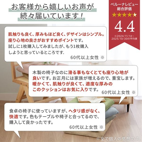 iellio（イエリオ）の「とろけるマイクロシートクッション２枚組＜抗菌防臭機能付＞（クッション・クッションカバー）」｜詳細画像