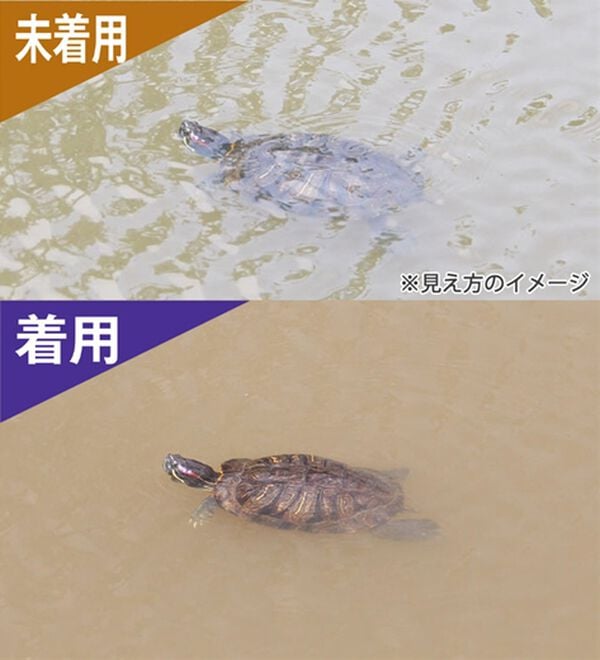 「目を守る調光偏光サングラス（メンズスポーツ用品）」｜詳細画像