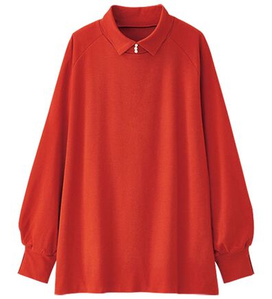 BELLUNA（ベルーナ）の「綿１００％衿付プルオーバー（カットソー）」