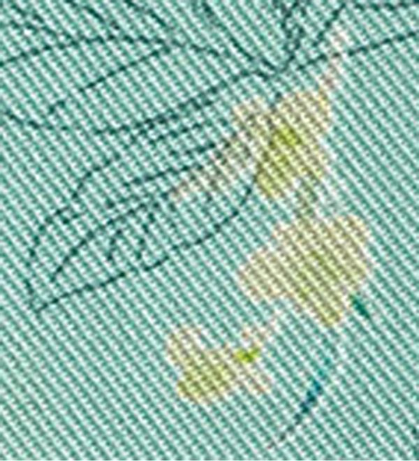 BELLUNA（ベルーナ）の「涼感柔らか袖リボンチュニック（チュニック）」｜詳細画像