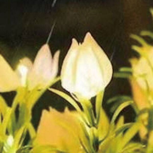 「ガーデンライト　くちなし２本組（ガーデニング・園芸用品）」｜詳細画像