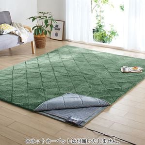 「そのままでも使えるカバー式ラグ（ラグ）」｜グリーン