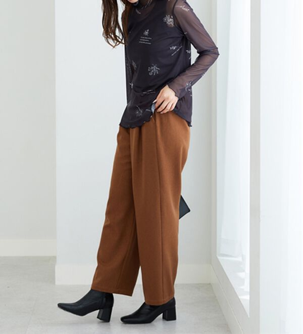 BELLUNA（ベルーナ）の「【重ね着インナー】シアー素材ハイネックインナープルオーバー（カットソー）」｜詳細画像