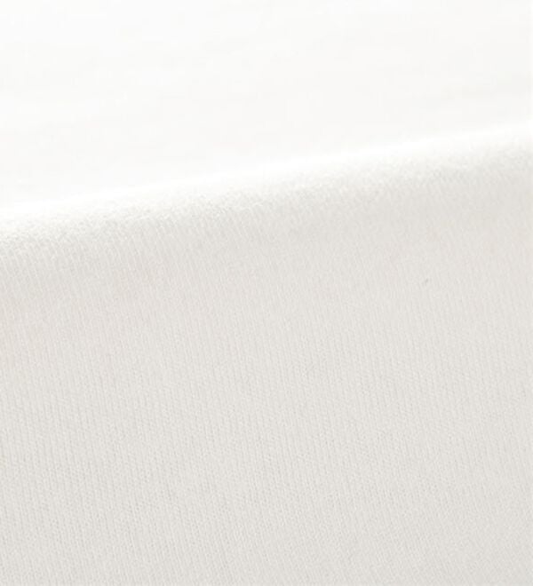 BELLUNA（ベルーナ）の「【ＦＲＵＩＴ　ＯＦ　ＴＨＥ　ＬＯＯＭ】レトロロゴビックＴシャツ（カットソー）」｜詳細画像