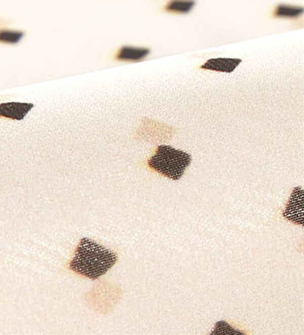 BELLUNA（ベルーナ）の「シフォン重ねタック使い小紋柄ブラウス（ブラウス）」｜詳細画像