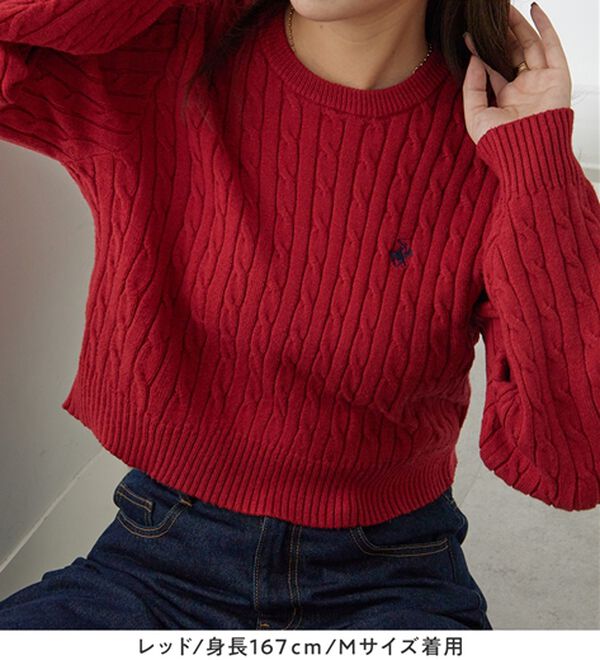 Viola e Viola（ヴィオラ エ ヴィオラ）の「【ビバリーヒルズポロクラブ】ケーブル柄ショートニット（ニット・セーター）」｜詳細画像