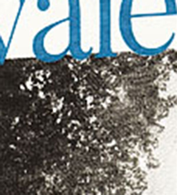 BELLUNA（ベルーナ）の「ヒンヤリ！綿１００％大人フォトプリントＴシャツ（Tシャツ）」｜詳細画像